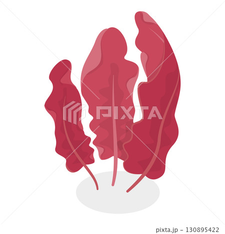 3D Isometric Flat  Set of Seaweeds. Item 8 130895422