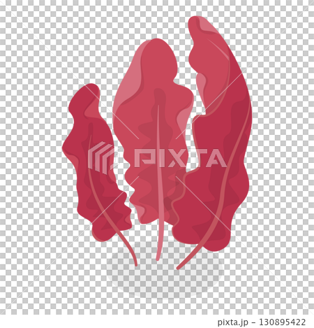 3D Isometric Flat  Set of Seaweeds. Item 8 130895422