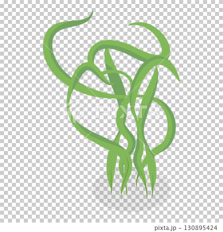 3D Isometric Flat Set of Seaweeds. Item 10 3D Isometric Flat Set of Seaweeds. Item 10 130895424