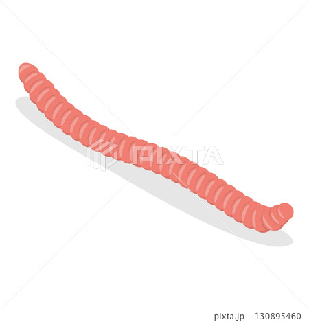 3D Isometric Flat  Set of Caterpillars And Worms. Item 3 130895460