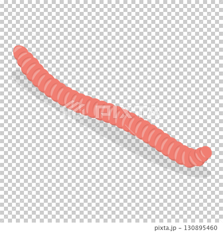 3D Isometric Flat  Set of Caterpillars And Worms. Item 3 130895460