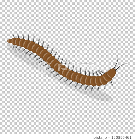 3D Isometric Flat  Set of Caterpillars And Worms. Item 4 130895461