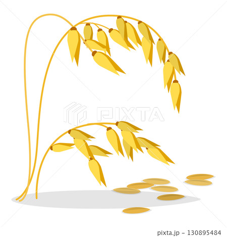 3D Isometric Flat  Set of Cereals. Item 3 130895484