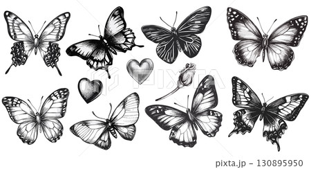 Realistic Black and White Butterfly and Heart Illustrations 130895950