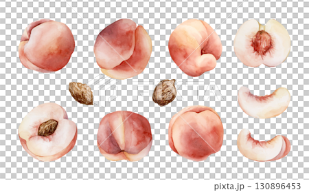 Peach Summer Juicy Ripe Fruit Seed. Watercolor hand drawn floral food illustration set isolated on white background for home kitchen textile fresh fabric print card cosmetic package porcelain crockery 130896453
