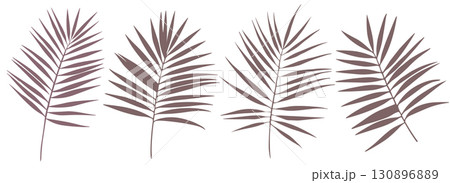 Set of Tropical Palm Leaf Silhouettes. Elegant Botanical Fronds for Wedding Invitation. 130896889
