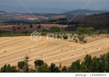 Vast Countryside Landscape with Rolled Hay Bales 130896914