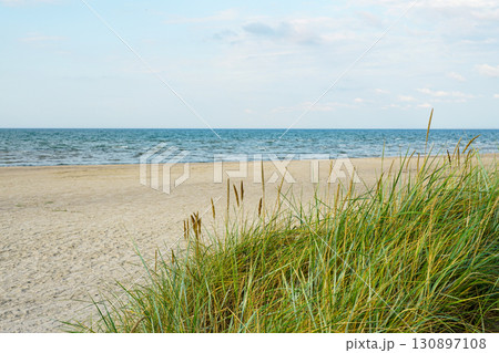 Sandy beach with coastal dune grass and gentle sea waves under blue sky on a peaceful summer day Sandy beach with coastal dune grass and gentle sea waves under blue sky on a peaceful summer day 130897108
