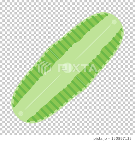 かわいいハネケイソウのイラスト素材 130897135