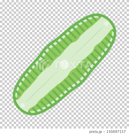 かわいいハネケイソウのイラスト素材_緑 130897157