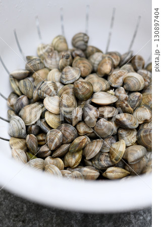 Close up view of shellfish washing in plastic colander 130897404