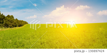 A Bright Green Field Stretching To The Horizon Under A Sunny Sky With A Rising Or Setting Sun. 130897424