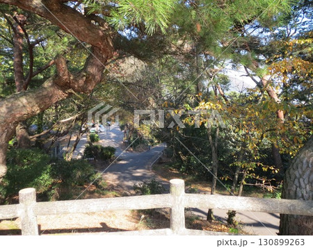 2014年・香川・観音寺・八幡・風景・琴引公園・其の二十九 130899263