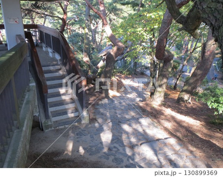 2014年・香川・観音寺・八幡・風景・琴引公園・其の三十二 2014年・香川・観音寺・八幡・風景・琴引公園・其の三十二 130899369