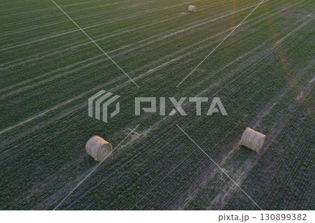 Grass bale, grass storage in La Pampa countryside, Patagonia,Argentina. Grass bale, grass storage in La Pampa countryside, Patagonia,Argentina. 130899382