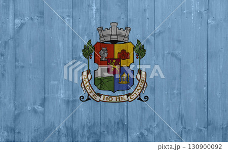 Official flag of the capital of Bulgaria, Sofia, on wood texture. Conceptual collage Official flag of the capital of Bulgaria, Sofia, on wood texture. Conceptual collage 130900092