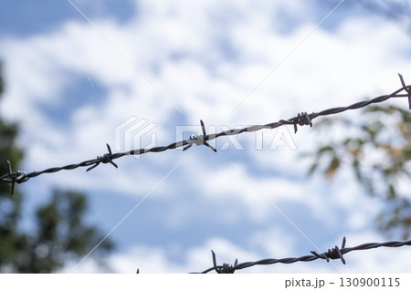 夏空と有刺鉄線 夏空と有刺鉄線 130900115
