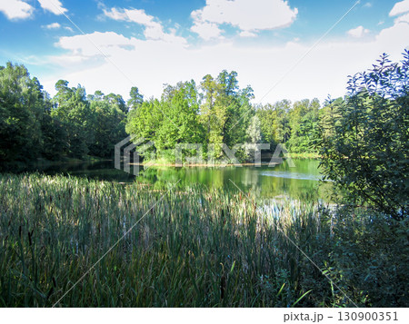 Landscape in the park with a lake and an island on a summer day. 130900351