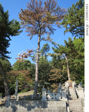 2014年・香川・観音寺・八幡・風景・琴引公園・其の四十七 130901463