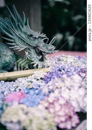 花手水と龍と紫陽花 花手水と龍と紫陽花 130901620