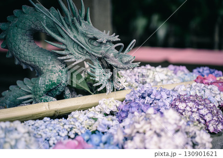 花手水と龍と紫陽花 花手水と龍と紫陽花 130901621
