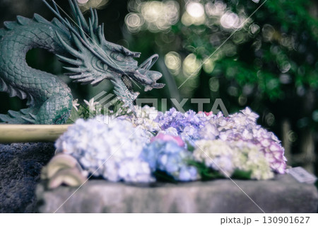 花手水と龍と紫陽花 130901627