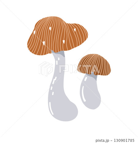 Vector illustration of stylized porcini mushrooms. Cute decorative mushrooms with hearts. Vector flat illustration isolated on white background 130901785