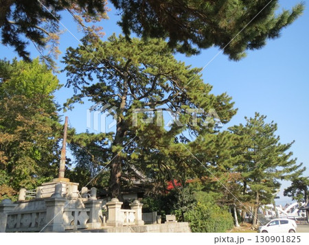 2014年・香川・観音寺・八幡・風景・琴引公園・其の五十一 2014年・香川・観音寺・八幡・風景・琴引公園・其の五十一 130901825