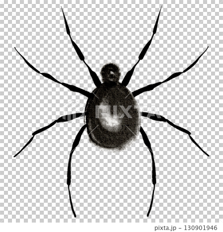 Watercolor illustration of black spider on white background. Detailed arachnid artwork for entomology, pest control, Halloween design, biology studies, tattoo template, and educational materials. 130901946