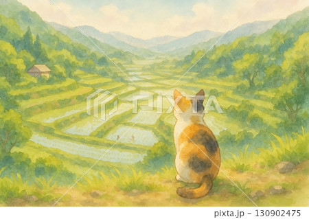 緑豊かな棚田を見下ろす猫の後ろ姿 130902475