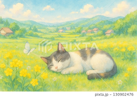 菜の花畑で眠る猫と春の風景 130902476