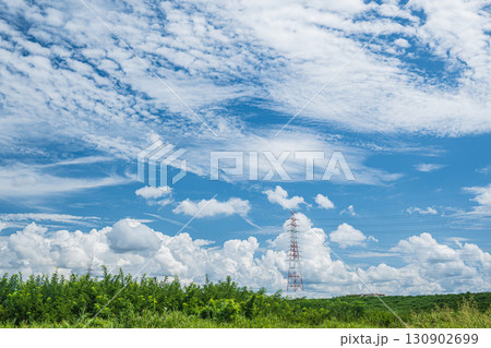 淀川河川敷から見上げた空　枚方市 130902699