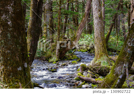 上高地　遊歩道 130902722