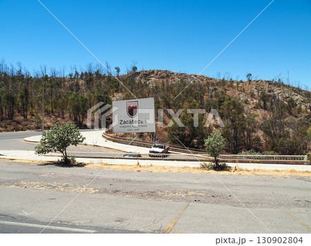 メキシコ　サカテカス郊外・ブッファの丘 130902804