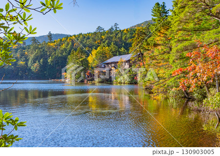 《長野県》白駒池・湖畔の紅葉と白駒壮 130903005