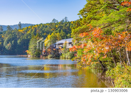 《長野県》白駒池・湖畔の紅葉と白駒壮 《長野県》白駒池・湖畔の紅葉と白駒壮 130903006