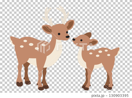 Cute deer pair vector illustration 130903395