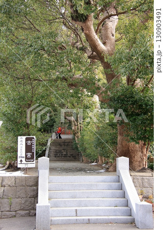 福岡県の神社 香椎宮 不老水 福岡県の神社 香椎宮 不老水 130903491
