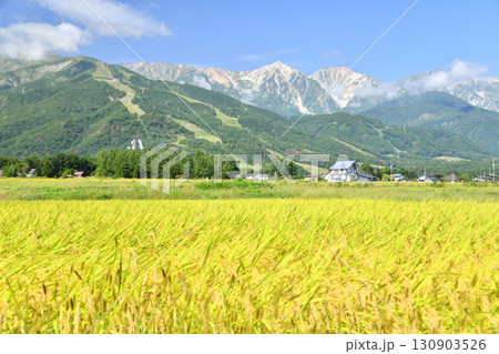 白馬村の風景／白馬三山方面を望む(長野県白馬村)【2025.9】 130903526