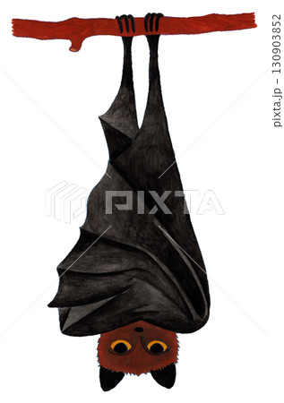逆さまにぶら下がったこうもり 130903852