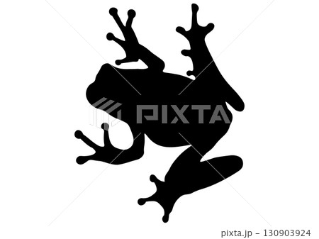 カエルのシルエット 130903924