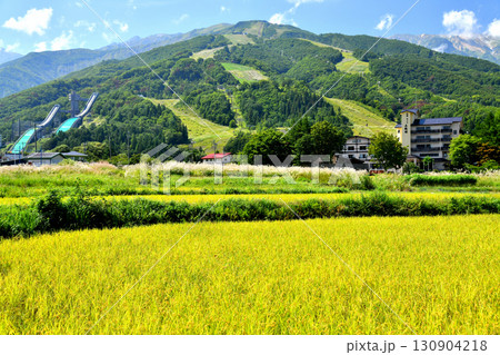 白馬村の風景／白馬八方尾根スキー場方面を望む(長野県白馬村)【2025.9】 130904218