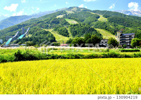 白馬村の風景／白馬八方尾根スキー場方面を望む(長野県白馬村)【2025.9】 130904219