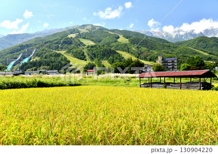 白馬村の風景/白馬八方尾根スキー場方面を望む(長野県白馬村)【2025.9】 白馬村の風景/白馬八方尾根スキー場方面を望む(長野県白馬村)【2025.9】 130904220