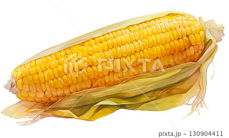 透明背景(png)にトウモロコシの水彩イラスト 透明背景(png)にトウモロコシの水彩イラスト 130904411