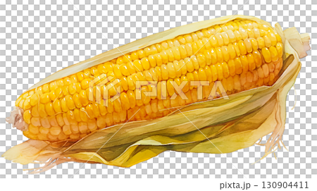 透明背景(png)にトウモロコシの水彩イラスト 透明背景(png)にトウモロコシの水彩イラスト 130904411