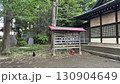 神社にいる後ろ姿の猫 130904649