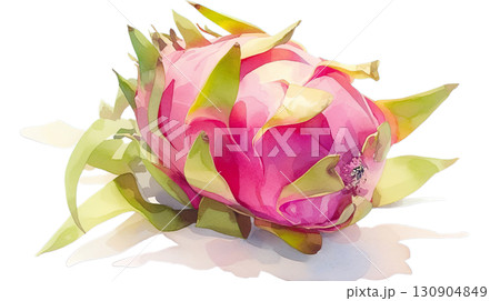 透明背景（png）にドラゴンフルーツの水彩イラスト 130904849