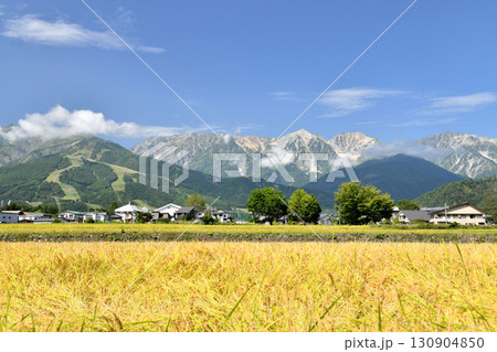 白馬村の風景／八方尾根～白馬三山方面を望む(長野県白馬村)【2025.9】 130904850