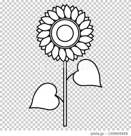 シンプルなひまわりの線画イラスト シンプルなひまわりの線画イラスト 130904889